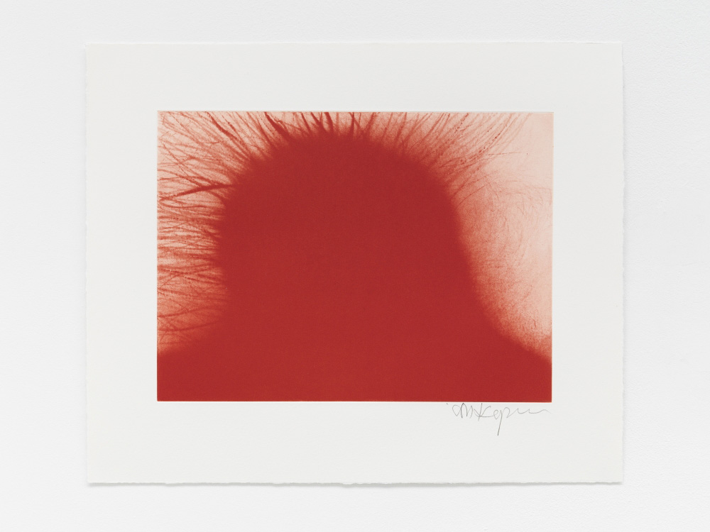 Anish Kapoor